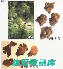 配伍川芎、红花、丹参等，可增强活血通络的作用。(川芎配红花)