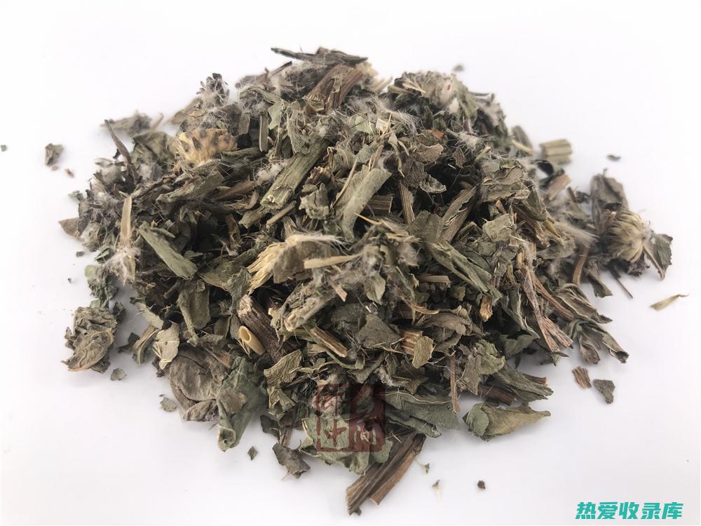 小蓟的功效与作用：探索其对健康的好处 (小蓟的功效与作用主要治什么病呢)