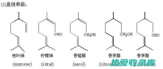 萜类化合物(萜类化合物名词解释)