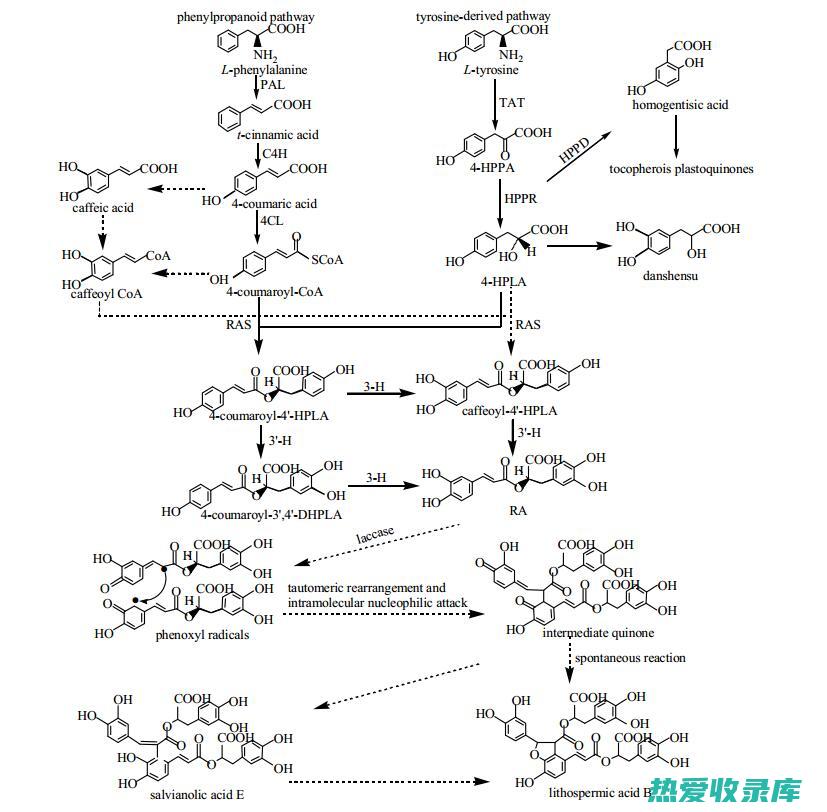 酚类化合物(酚类化合物酸性强弱判断)