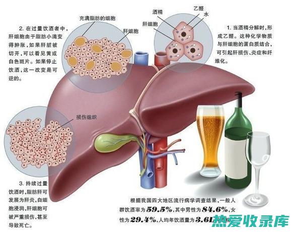 肝功能不全者(肝功能不全者是什么意思)