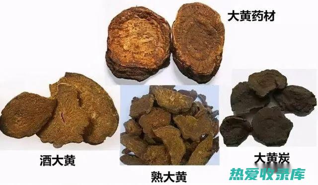 泻下药：大黄、芒硝、番泻叶、巴豆(泻下药大黄和制大黄对小白鼠肠蠕动的影响实验报告)