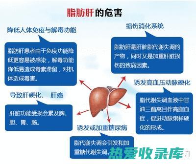 保护肝脏(保护肝脏的药什么最好)