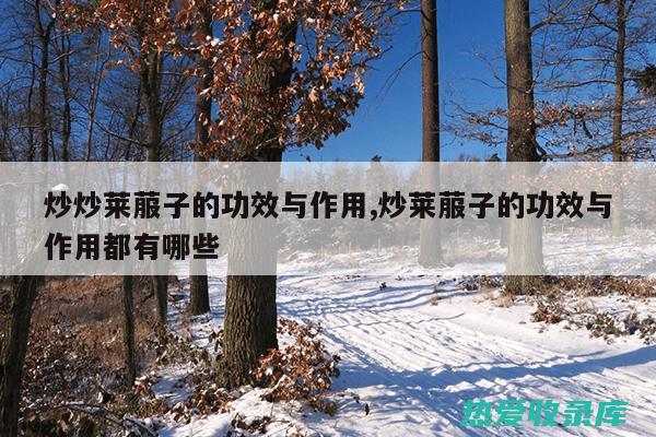 炒莱菔子的功效与作用：消食导滞、健脾开胃、顺气止泻、化痰止咳、消肿散瘀 (炒莱菔子的功效与作用)