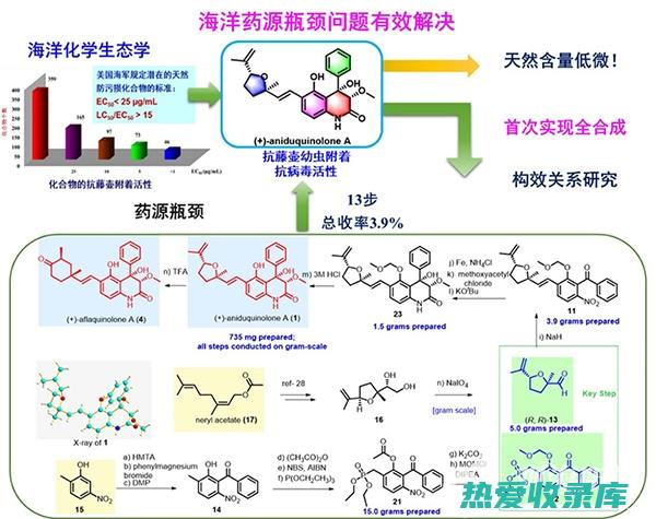 与其他药物的相互作用：当归与一些药物可能存在相互作用，应在医生指导下服用。(与其他药物的相互作用)