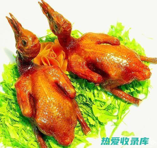 石燕与乳鸽的功效：两种珍贵食材的养生价值 (石燕与乳鸽的区别)