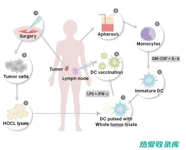 抗癌作用：研究发现，川木通中的川木通浸膏、川木通素等成分具有抗癌作用，可抑制癌细胞生长。(抗癌的作用)