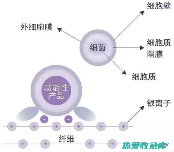 抗菌和抗病毒作用(抗菌和抗病毒药可以一起用吗)