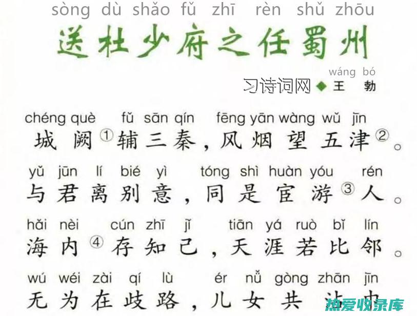 杜仲的非凡功效：提升肾气、强筋健骨、改善骨质疏松、缓解腰膝疼痛、助阳补肾 (杜仲的非凡功效和作用)