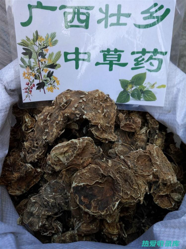 草药一碗水的惊人功效 (草药一碗水能治什么病)