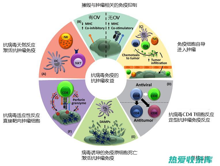 抗肿瘤 (抗肿瘤中草药)