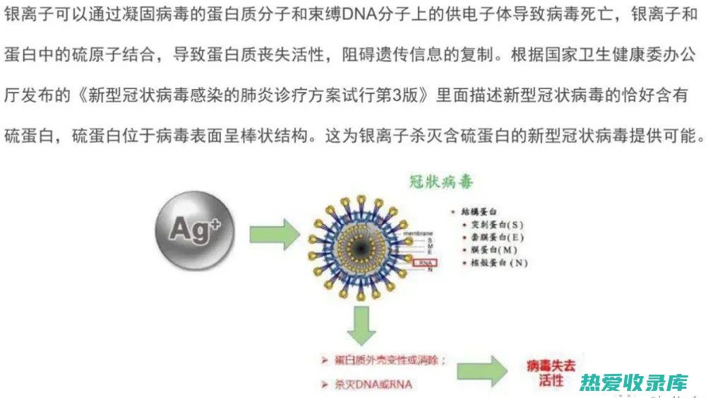 抗菌抗病毒：翻白草具有抗菌抗病毒的功效，可用于治疗各种细菌、病毒感染引起的疾病，如感冒、肺炎、痢疾等。(抗菌抗病毒药物有哪些)