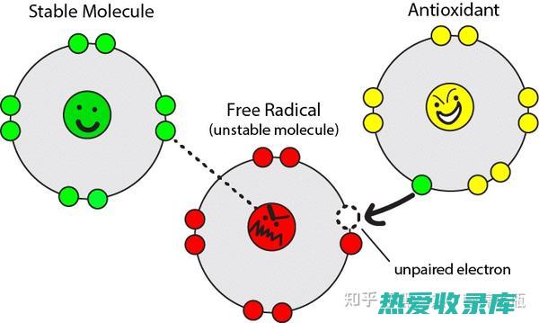 抗氧化和抗炎作用：莲花的抗氧化剂含量有助于保护身体免受自由基的伤害，而其抗炎作用有助于缓解炎症。(抗氧化和抗炎的区别)