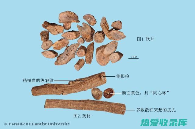 别名：牛膝藤、木瓜藤(牛膝藤的作用)