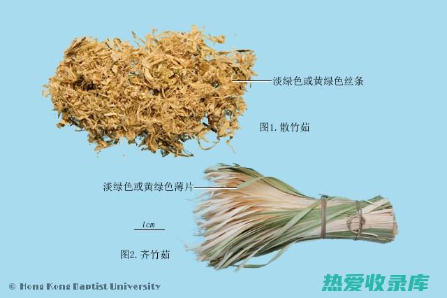 竹茹的作用与功效：抗菌消炎、清热凉血、养阴润肺、护肝利胆、降血糖 (竹茹的作用与功能主治)