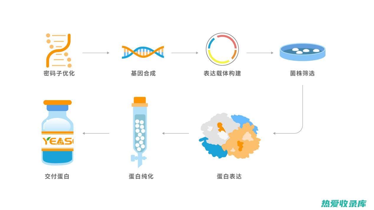 蛋白质：19.3 克(蛋白质19是高筋还是低筋)