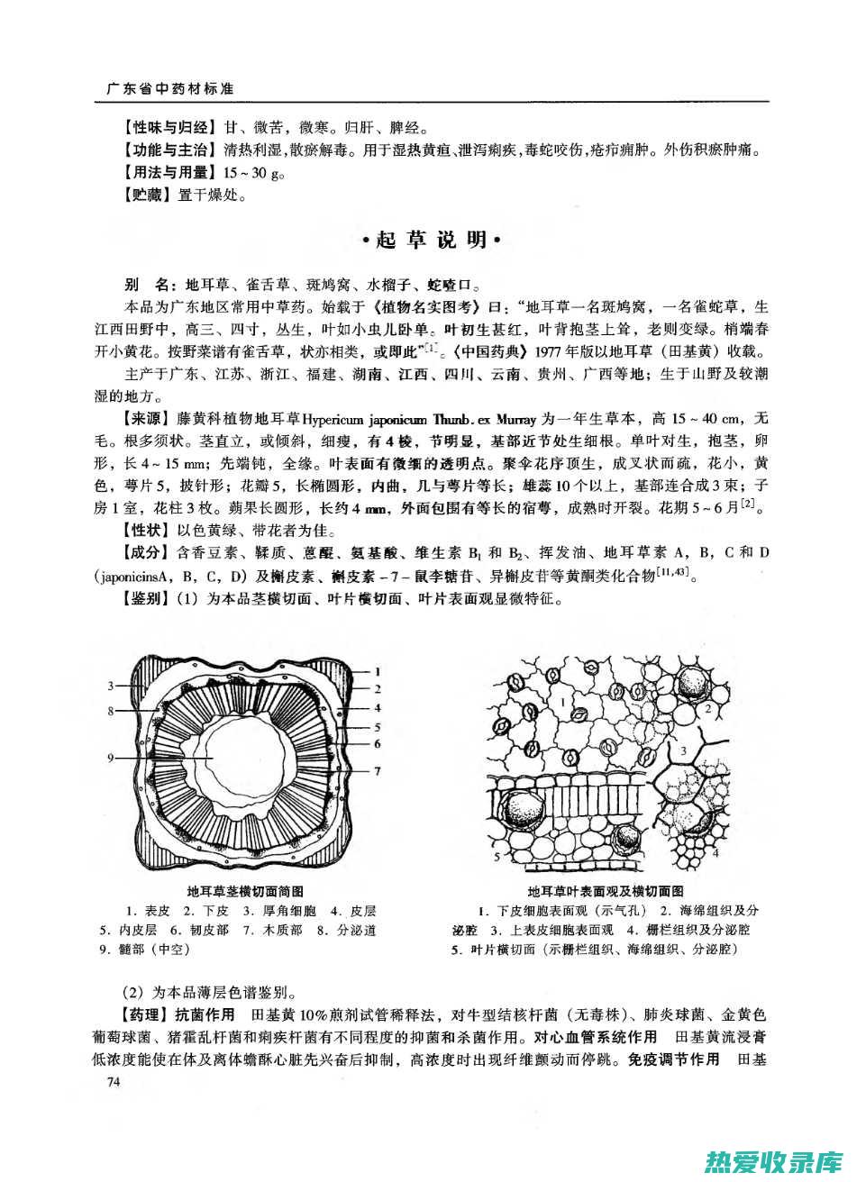 防癌：田基黄草中含有黄酮类化合物和多糖，具有抗癌作用，可以抑制癌细胞的生长和扩散。(田基黄的功效与作用点)