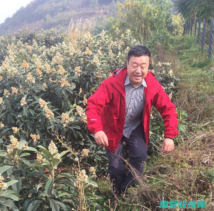 润肺(润肺养肺清肺的食物有哪些)