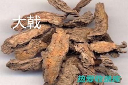 大戟中药：传统中医中的有效治疗选择 (中药大戟的功效与作用)