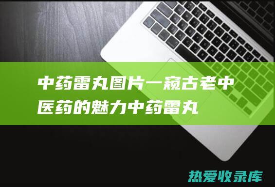 中药雷丸图片：一窥古老中医药的魅力 (中药雷丸图片功效与主治)