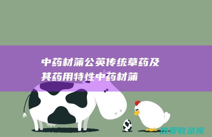 中药材蒲公英：传统草药及其药用特性 (中药材蒲公英图片)