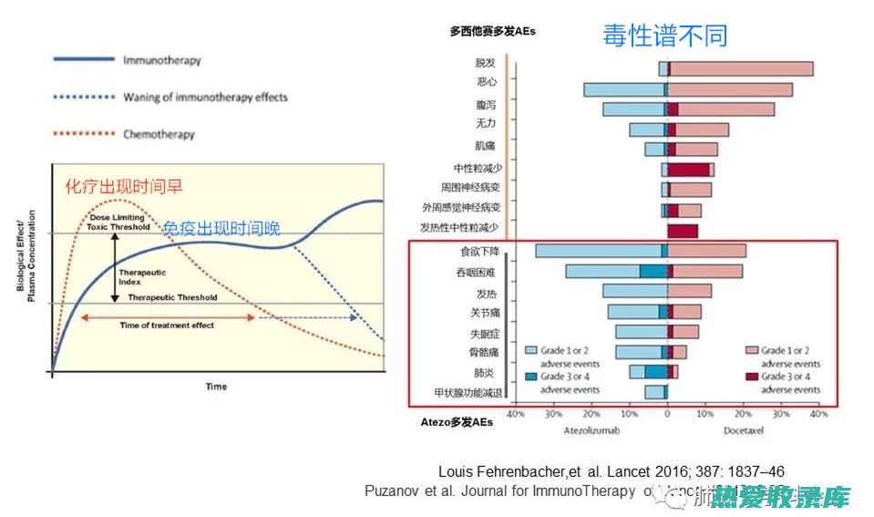 减少副反应：中药可以减轻其他疗法的副反应，如手术后的疼痛、放疗后的放射性皮炎、化疗后的恶心呕吐等。(减少副反应的主要措施)