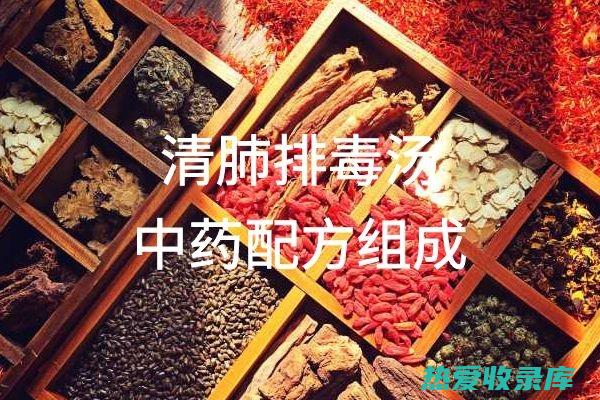 排毒中药方：益气活血、清热解毒，焕发身体活力 (排毒中药方剂)