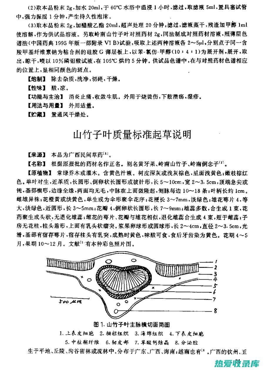 中药竹子皮：它的药用价值和保健功效 (竹皮有什么作用)