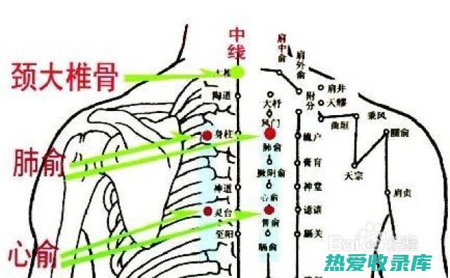 肺俞穴：位于背部，第3胸椎棘突旁开1.5寸处，按压此穴位可以补肺气、止咳。