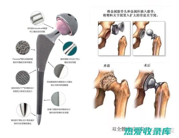 强筋健骨的