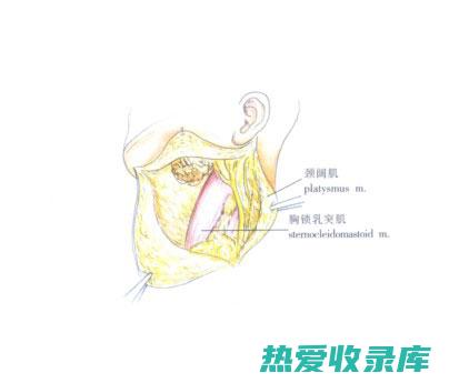 将白颈切成小块，晒干或烘干即可。(白颈是指)