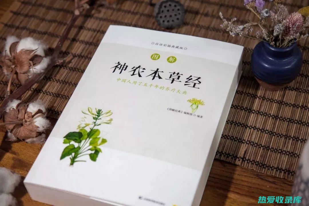 中草药减轻神经痛：探索有效的天然疗法 (中草药减轻神经衰弱)