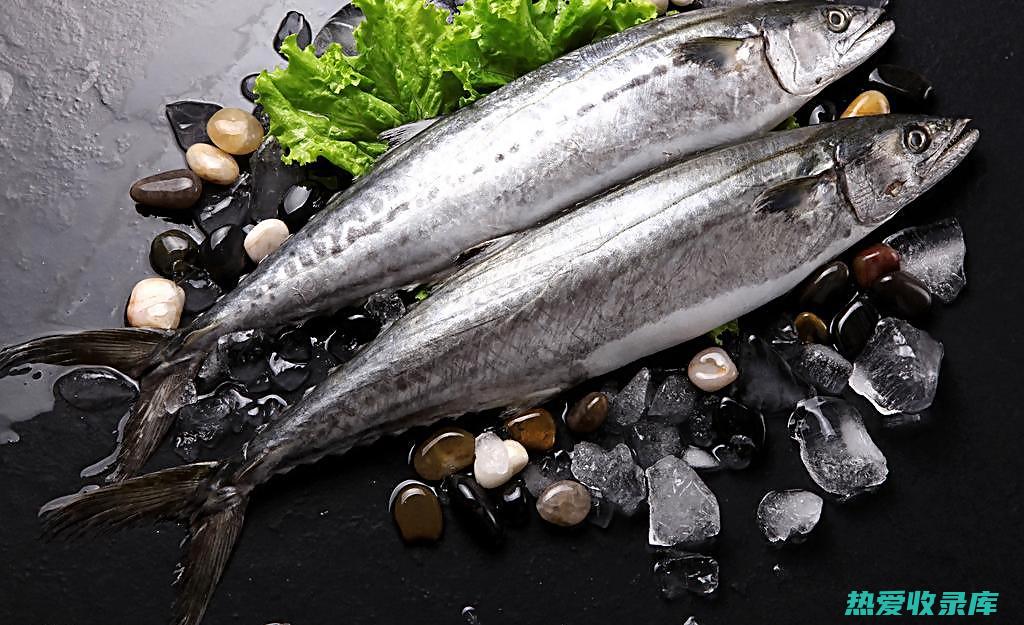 白鱼的营养价值和健康功效
