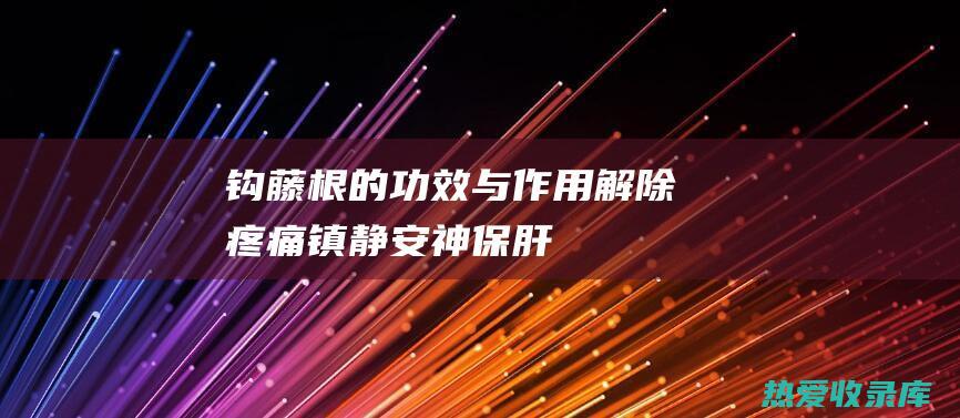 钩藤根的功效与作用：解除疼痛、镇静安神、保肝护肾、抗炎消肿、降血压 (钩藤根的功效与作用图片)