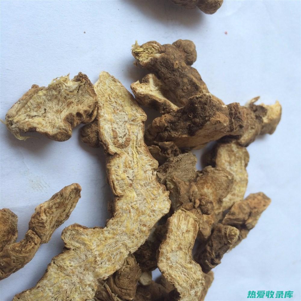 北苍术：功效与作用详解 (北苍术功效)