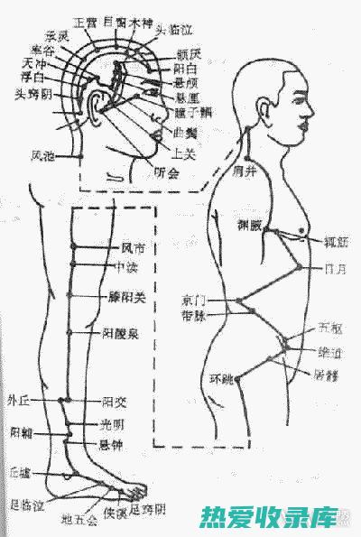 归经：肝、胆、脾经 (归经肝胆的中药)