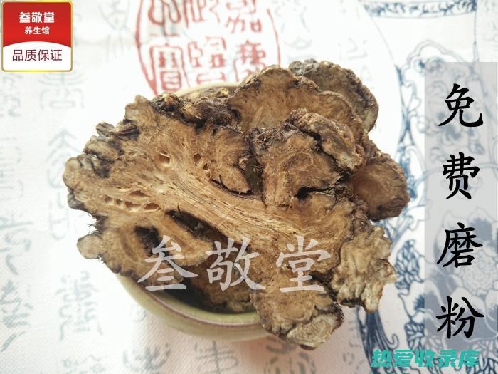 研粉：将川芎研成细粉，加入蜂蜜或水服用。(研粉吞服是怎么个服法)