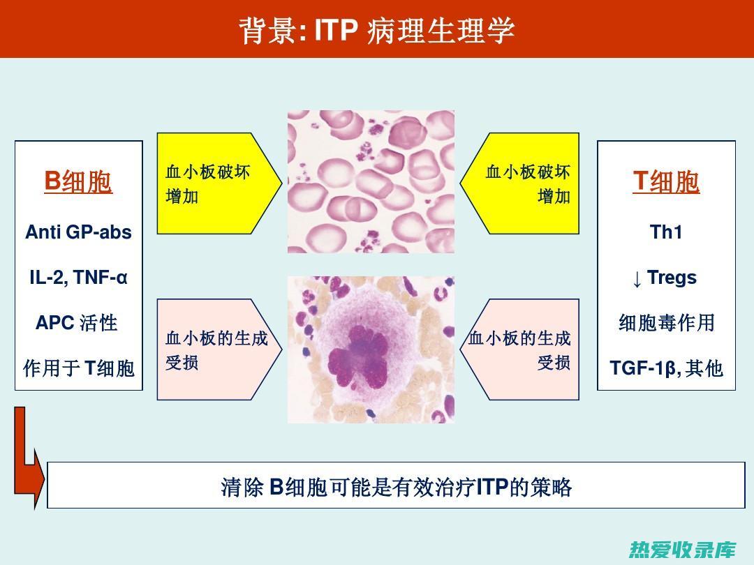 抗血小板聚集：丹参中的丹参酮二氢丹参酮等成分具有抗血小板聚集的作用，可用于预防血栓形成，减少心脑血管疾病的发生。(抗血小板聚集的药物有哪些)