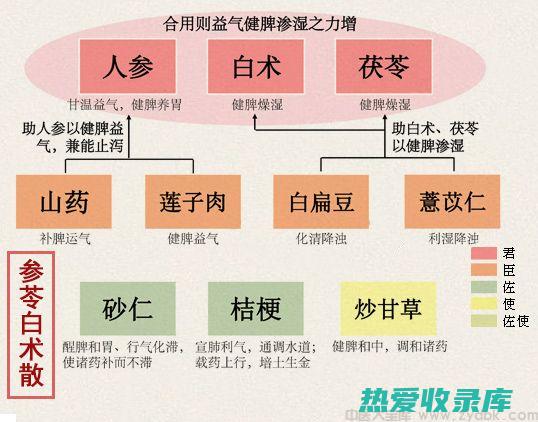 白术伏苓散的功效：滋养脾胃、健脾利湿 (白术伏苓散的作用)