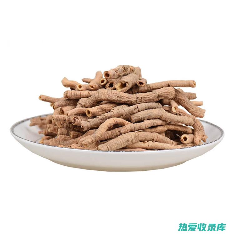 中药远志的功效与作用及食用方法 (远 中药)