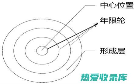 人参：其性状与功效全解析 (人参性质作用和药效)