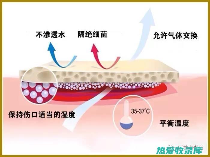 伤口愈合缓慢 (伤口愈合缓慢是身体缺什么)