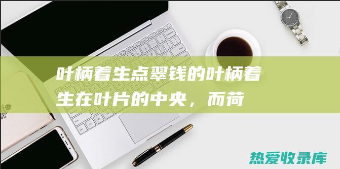 叶柄着生点：翠钱的叶柄着生在叶片的中央，而荷叶的叶柄着生在叶片的偏心处。(叶柄着生在叶片背面的中央或边缘内)