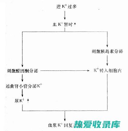 调节水液平衡