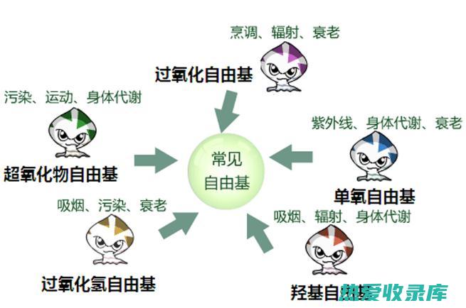 抗氧化：spans具有抗氧化的作用，可以保护细胞免受自由基的损伤。(抗氧化是什么意思)