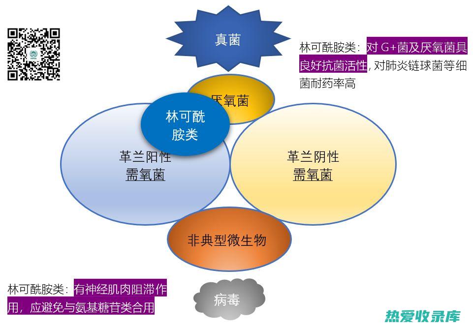 抗菌药：可能破坏儿童肠道菌群平衡(抗菌药有)