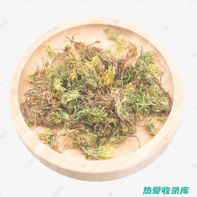 草药回心草的功效及用法 (草药回心草的功效)