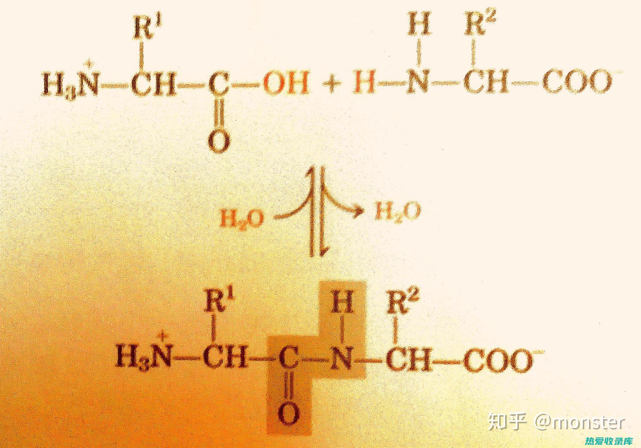 参与各种生理过程