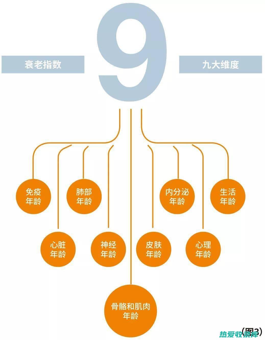 抗衰老：百布中的抗氧化成分具有抗衰老作用，可以帮助清除自由基，延缓衰老进程。(百布是什么药材)