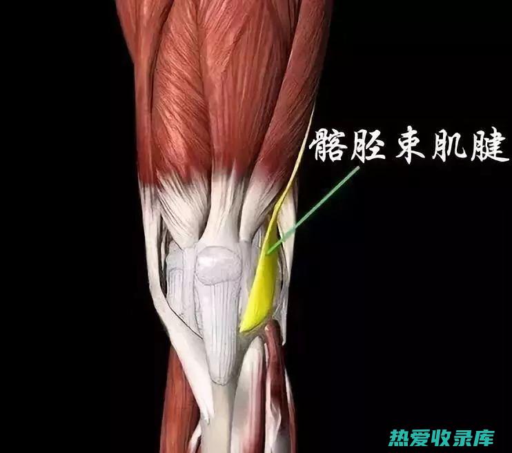 肌腱炎(肌腱炎有什么症状)